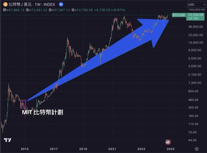 通过Bitpie钱包参与初始币发行(ICO)的指南_ico发行_闪钱包复核未通过