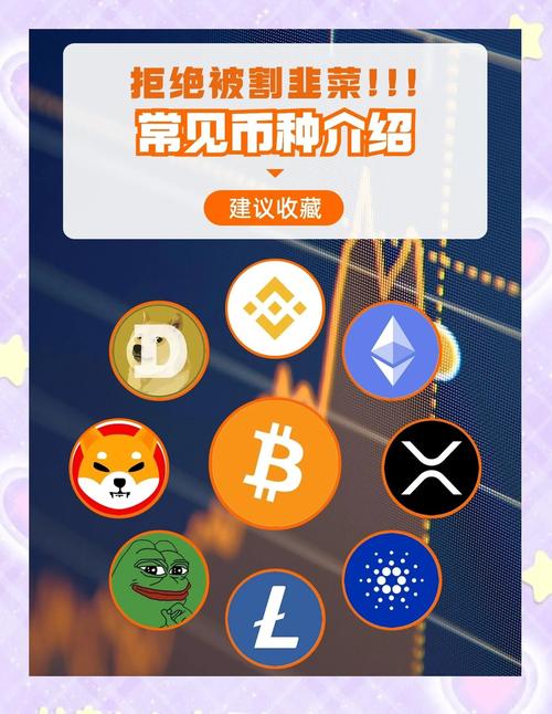 长期观察加密货币领域，比特派钱包分类及特性梳理